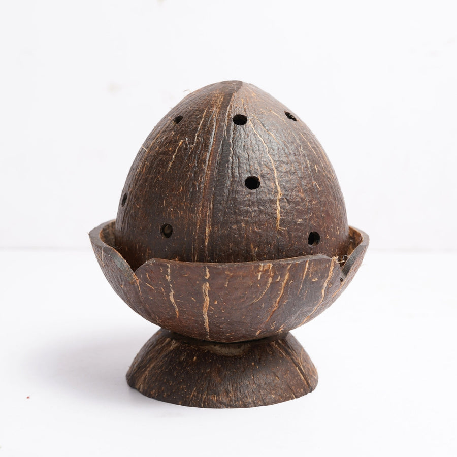 Coconut