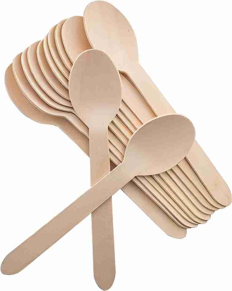 Disposable Spoons (100)