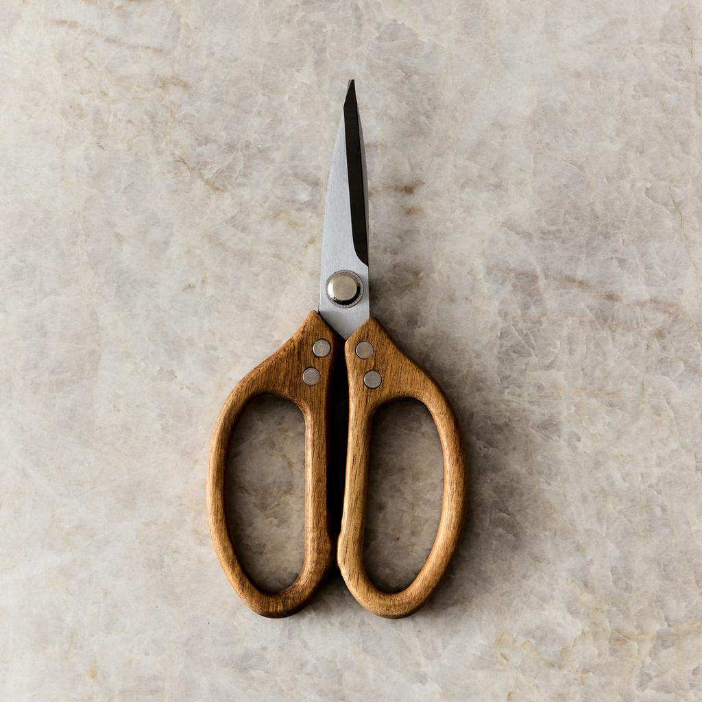 Scissors