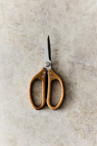 Scissors