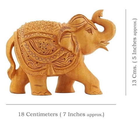 Indian Elephant