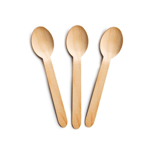 Disposable Spoons (100)