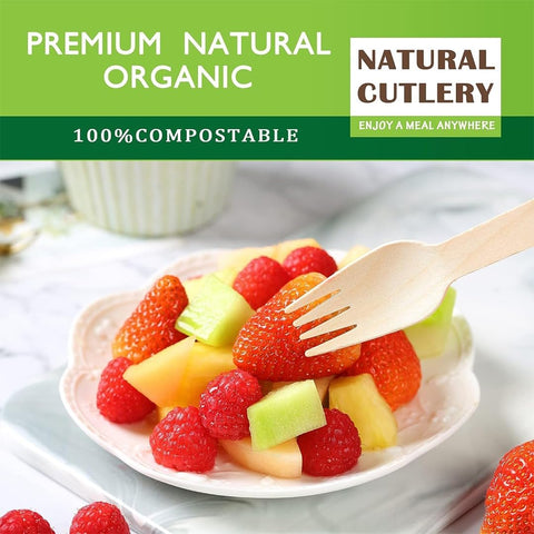 Disposable Forks (100)
