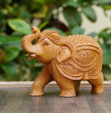 Indian Elephant