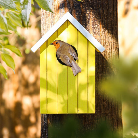 Yellow Bird House