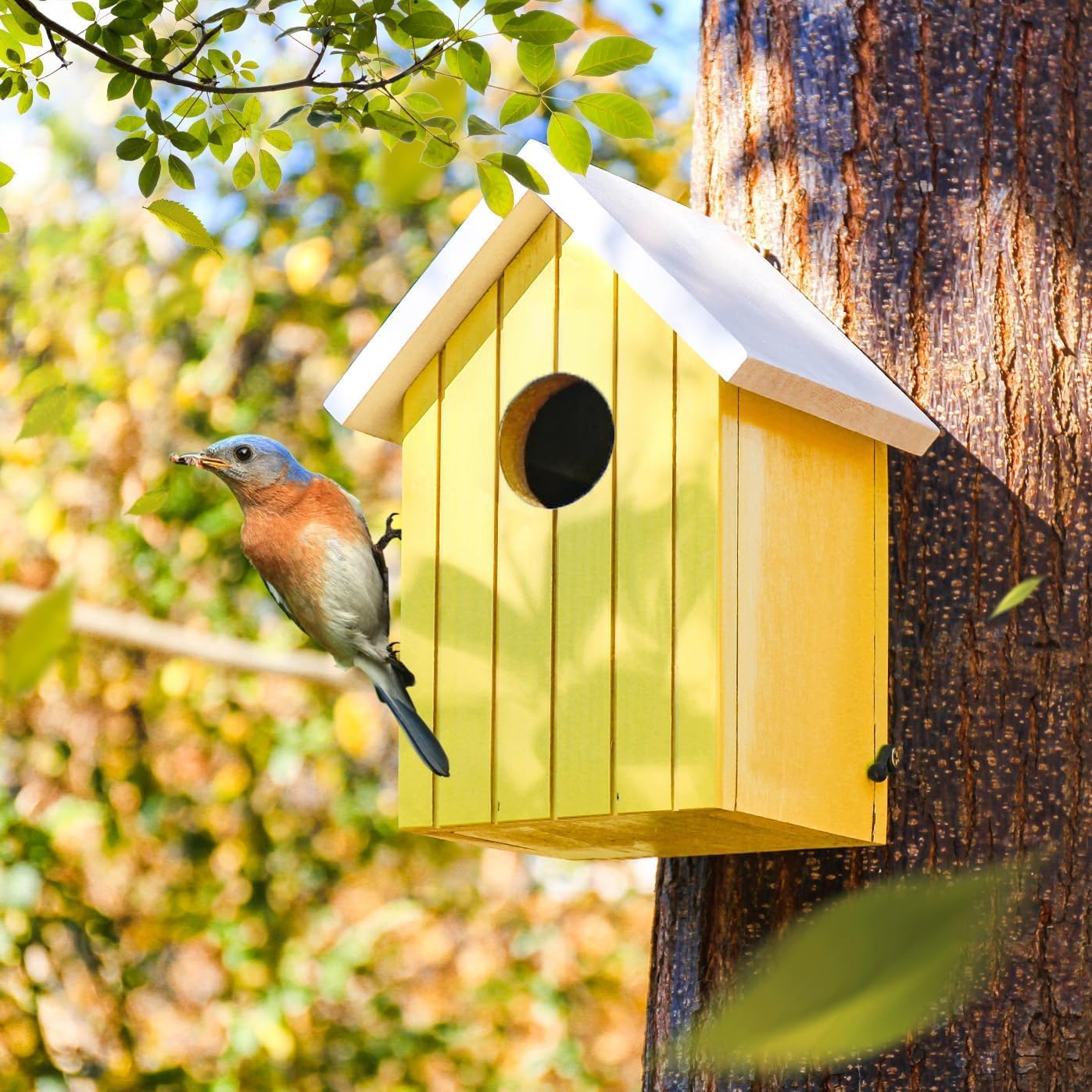 Yellow Bird House