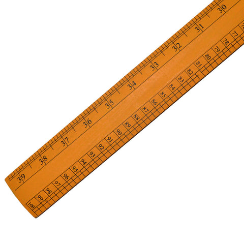 Extra Long Scale - 100cm