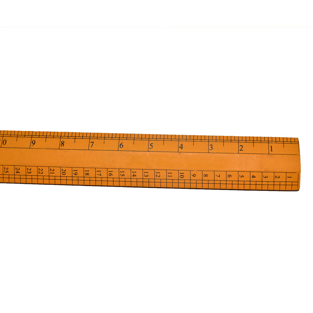 Extra Long Scale - 100cm