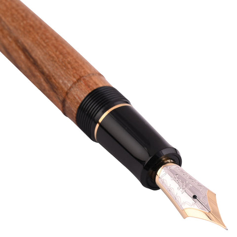 Fountain Pen