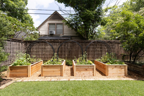 Raised Garden Bed
