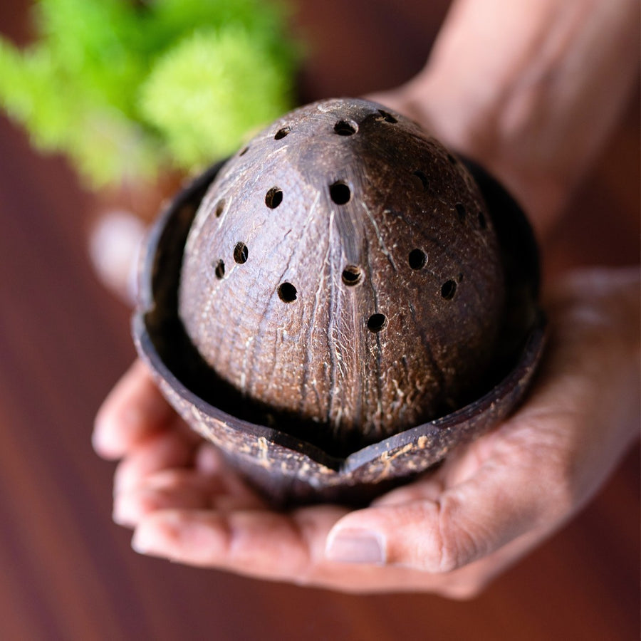 Coconut