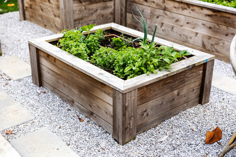 Raised Garden Bed