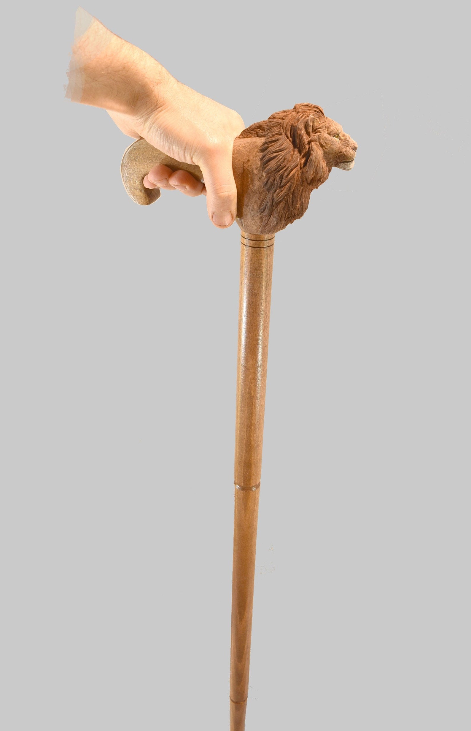 Lion Handle